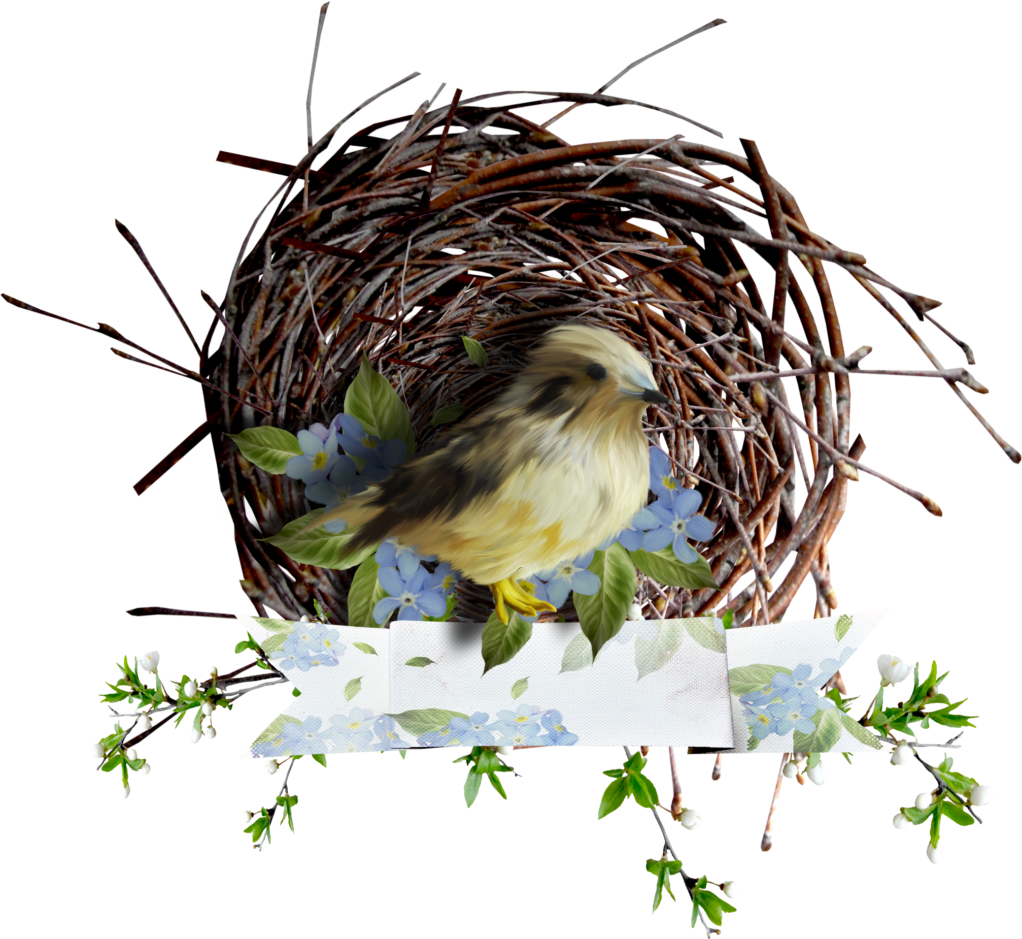 Nido De Pajaros Png (2200x1940), Png Download