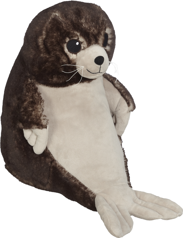 Cecil Sea Lion Buddy - Sea Lion (1000x1000), Png Download