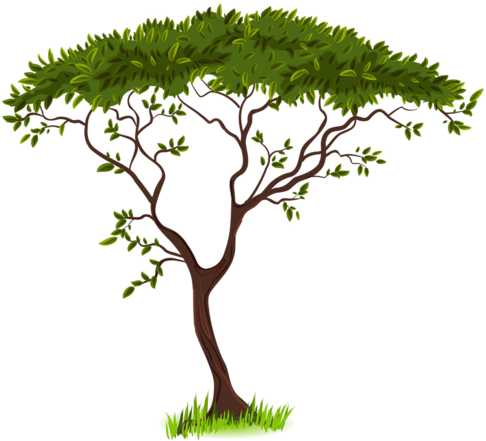 Tubes Arbres En Png - Savanna Clipart (600x540), Png Download