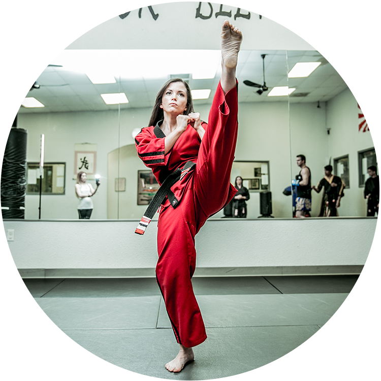 3rd Degree Black Belt - Kung Fu (750x750), Png Download