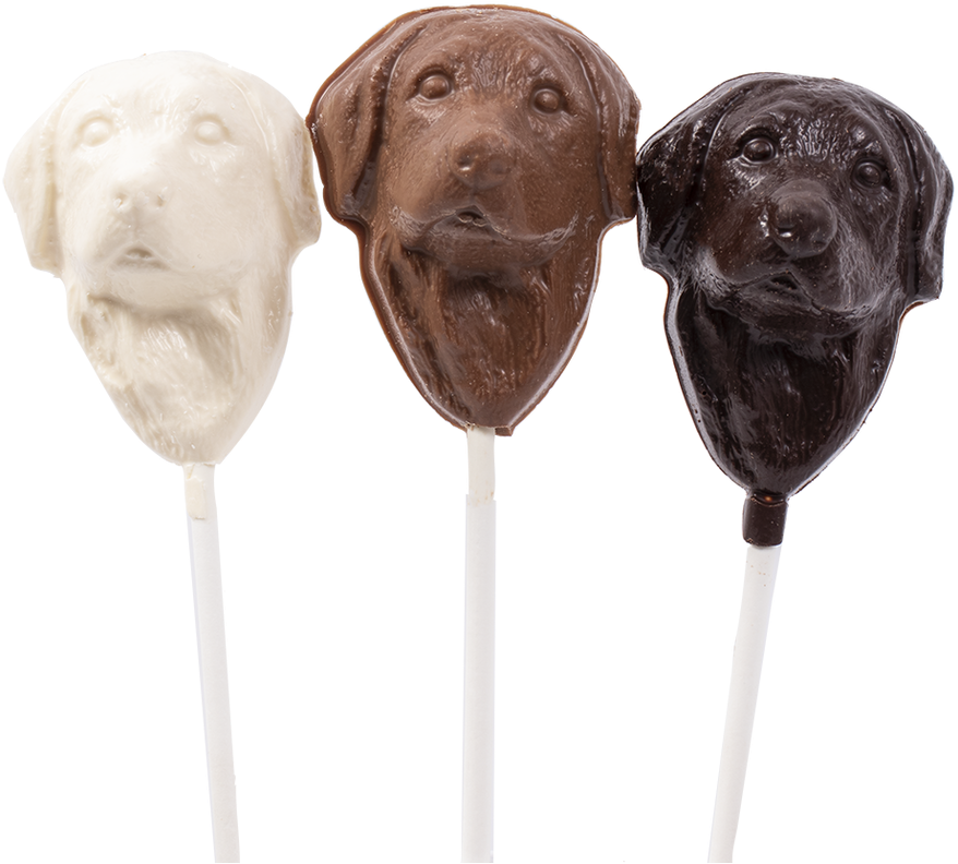 Labrador Retriever (1000x839), Png Download
