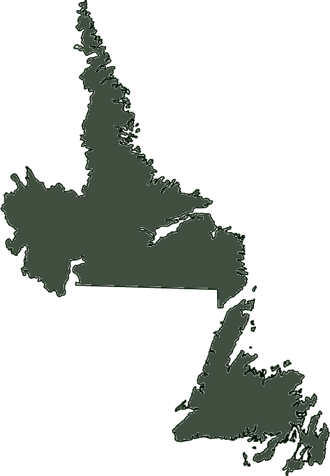 Outline Of Newfoundland And Labrador - Newfoundland And Labrador Regions (473x683), Png Download