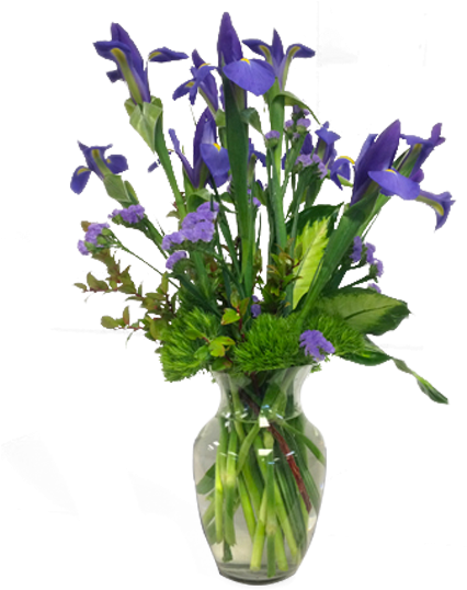 Intriguing Iris - Balloon Flower (600x600), Png Download