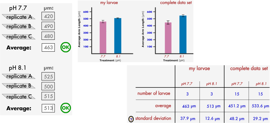 Sea Urchin Larvae In Water That Is More Acidic Grows - Virtual Urchin Part 3 Lab Answers (867x395), Png Download