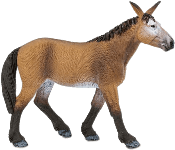 Animals - Mule Animal (700x700), Png Download