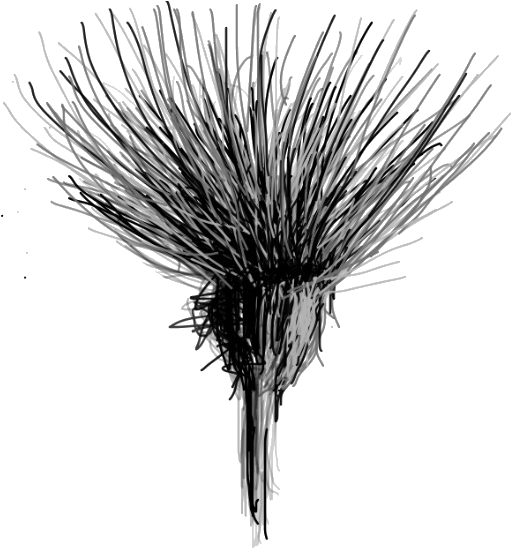 Bravetart Coaching, For Women With Potential Who Are - Sketch (572x615), Png Download