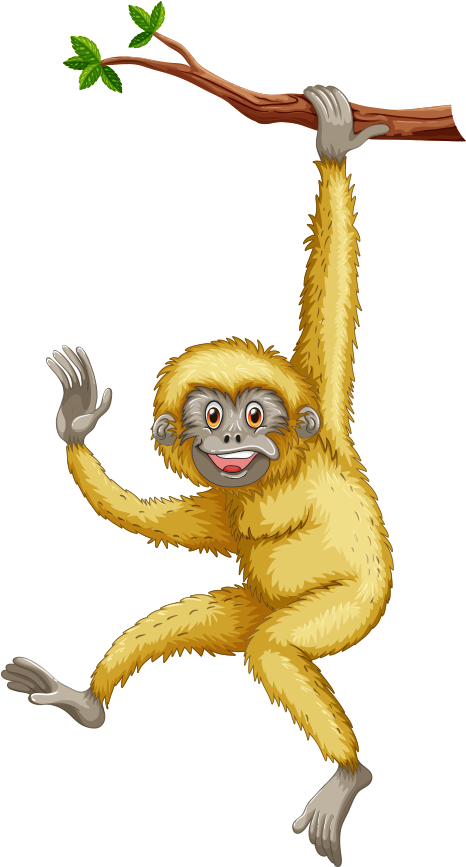 Cute Monkey With Bananas Png Picture - Macaque (746x896), Png Download