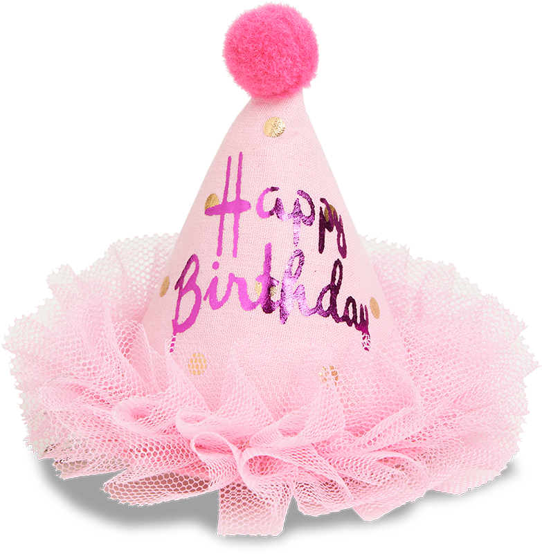 Birthday Hat Hair Clip Pink - Party Hat (888x888), Png Download
