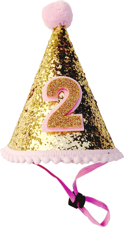 Birthday Party Hat For Dogs - Triangle (768x1024), Png Download