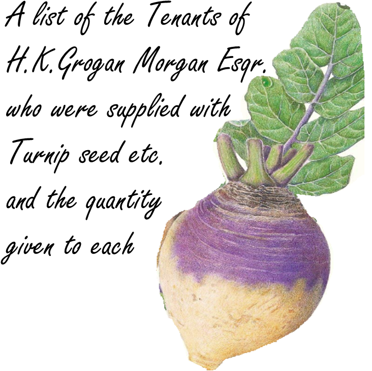 Small Sources - Chard (763x765), Png Download