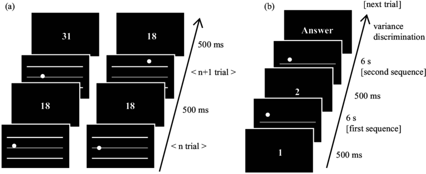 Schematic View Of Stimuli Used In The Stop Operation - Drawer (850x374), Png Download