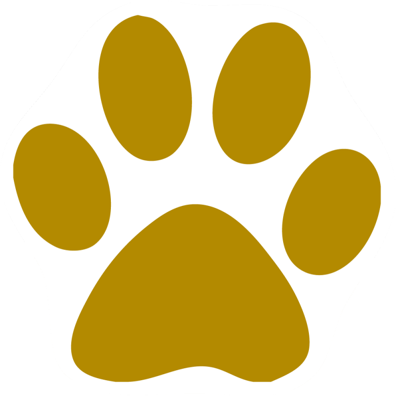 Paw Clip Art - Pink Cat Paw Print (800x800), Png Download