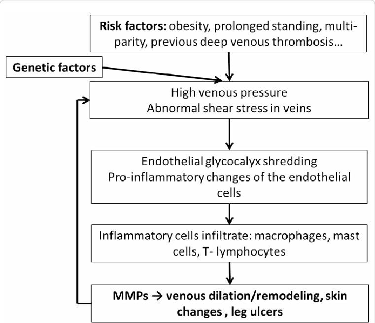 Simplified Diagram Of Pathophysiology Of Chronic Venous - Number (761x655), Png Download