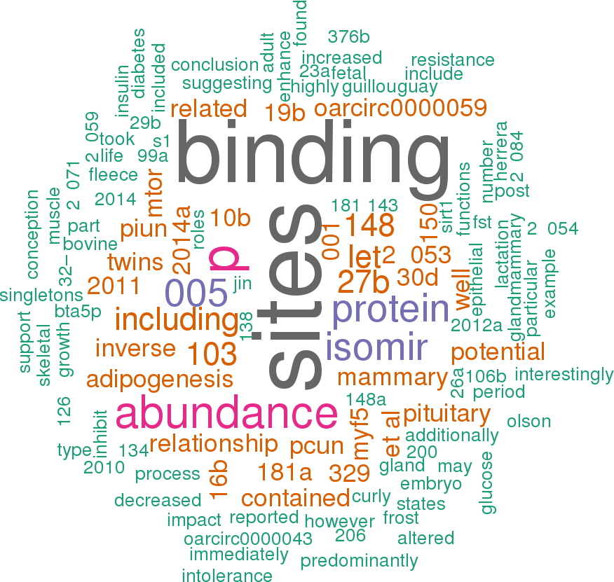 Stem Loop Sequence Oar Mir 30a - Bees Word Cloud (876x831), Png Download