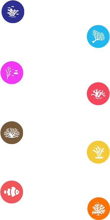 The Belize Marine Fund - Circle (425x794), Png Download