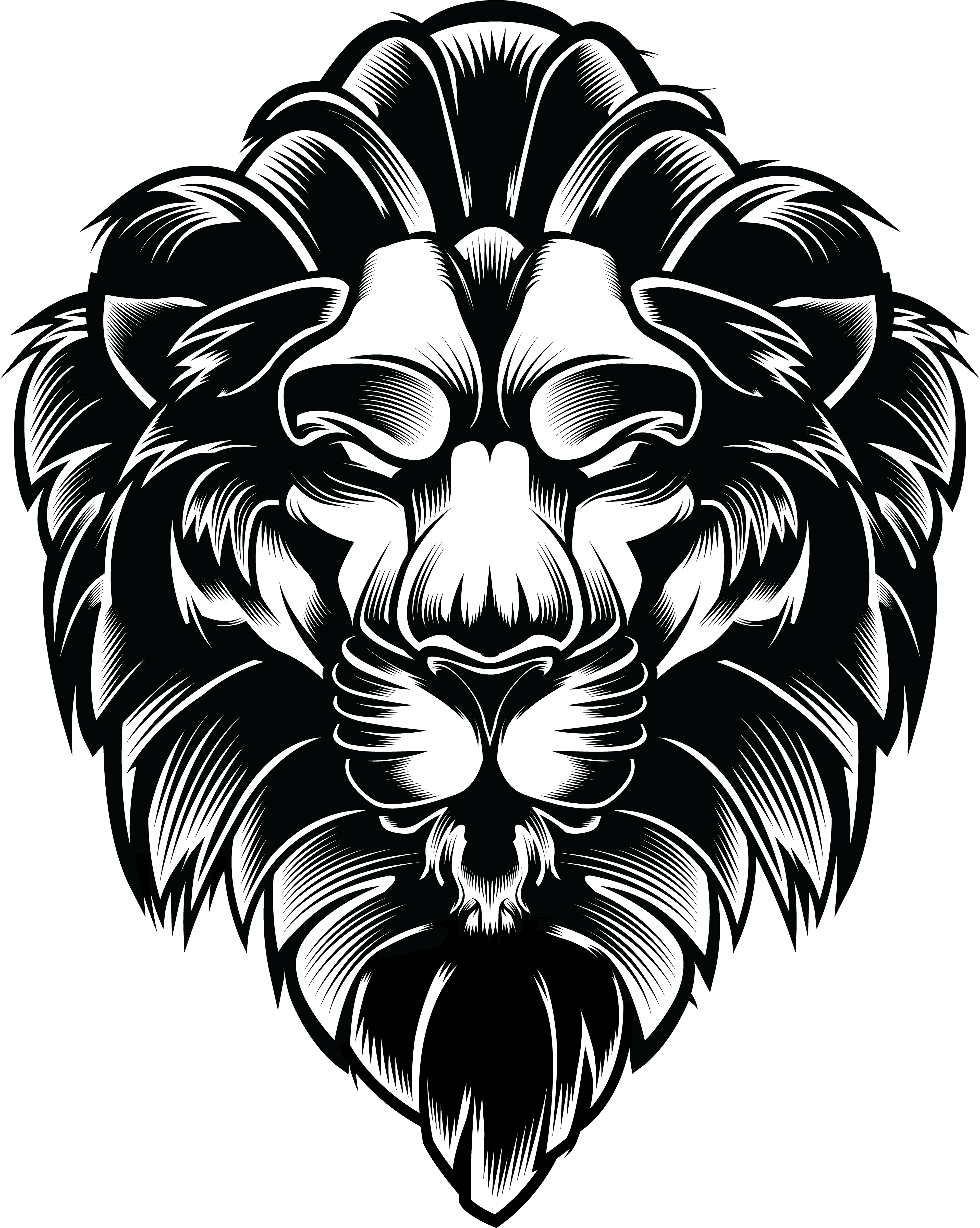 I Created A Vector Of A Lion And Used It To Create - Lion Illustration (3840x4809), Png Download