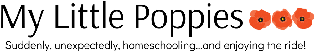 My Little Poppies - Calligraphy (1080x300), Png Download