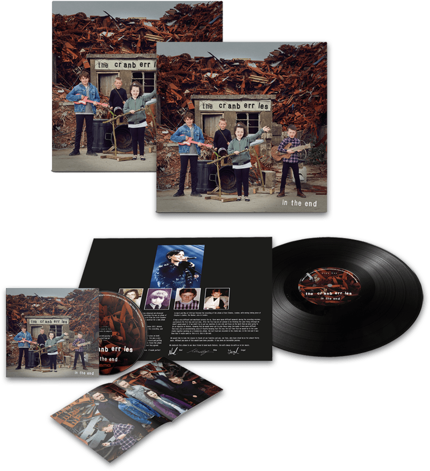 Buy Online The Cranberries - Cranberries In The End (1000x1000), Png Download