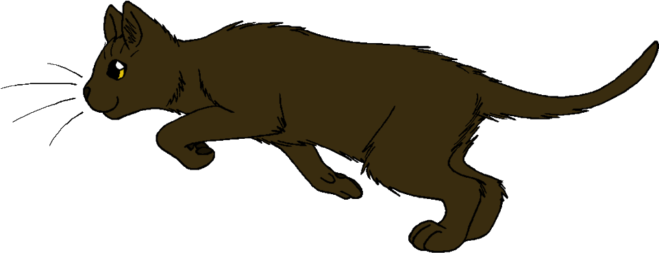Warrior Cats Running Hollyleaf - Warrior Cats Hollyleaf Runs (962x370), Png Download
