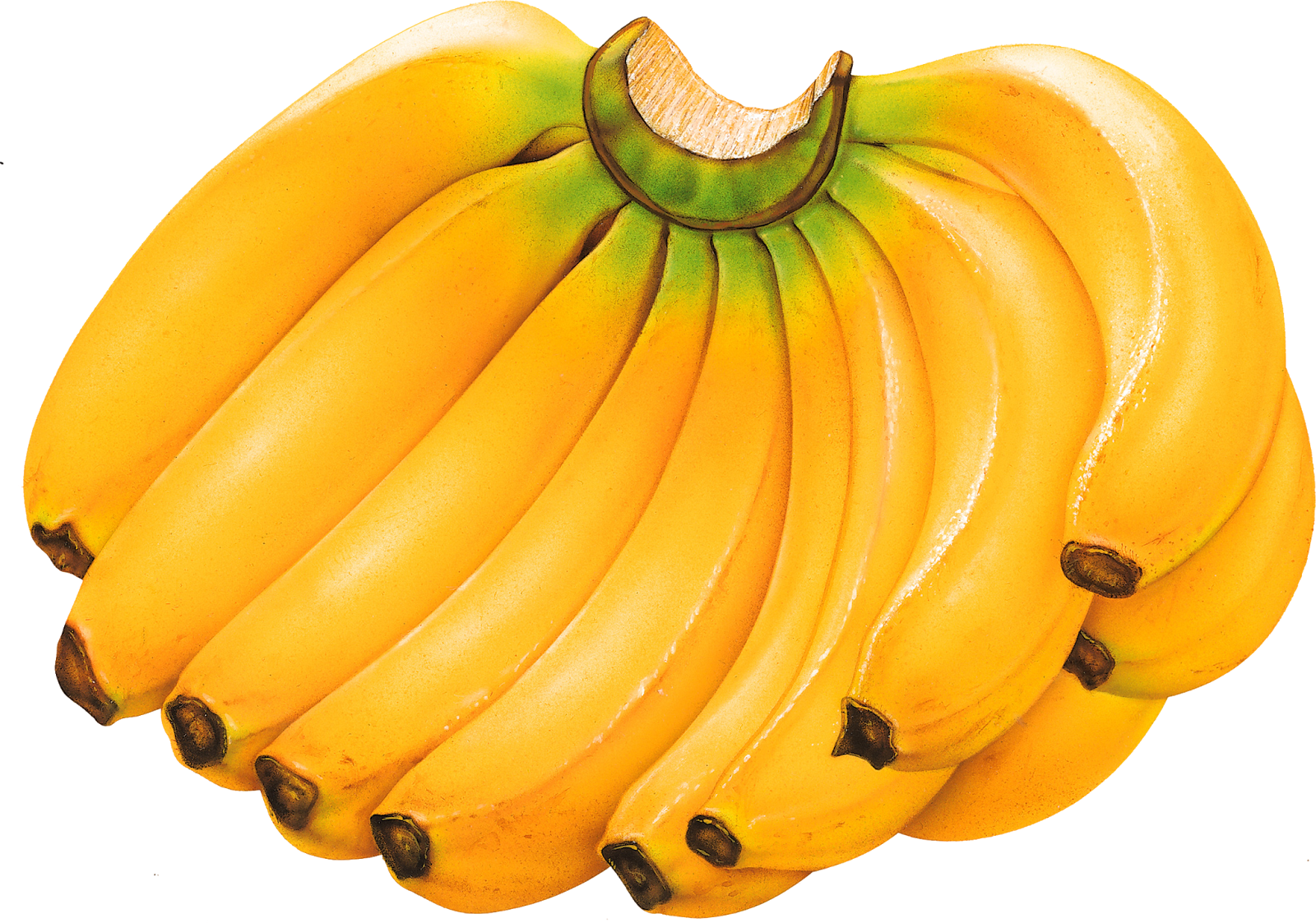 13 Foods That Crush Sleep Apnea - Banana Fruits (1600x1123), Png Download