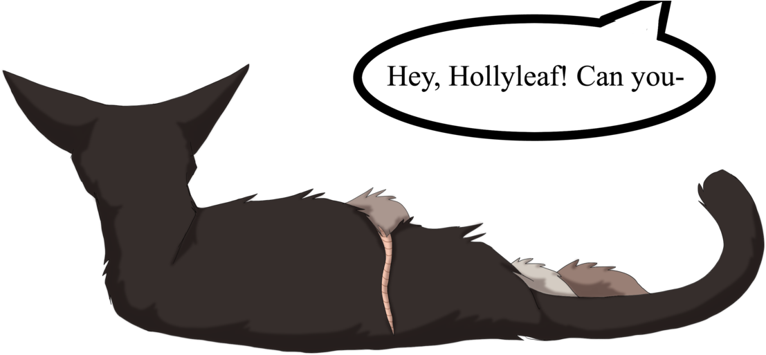 Hollyleaf Won The Poll - Hollyleaf Warrior Cat Transparent Background (1280x575), Png Download