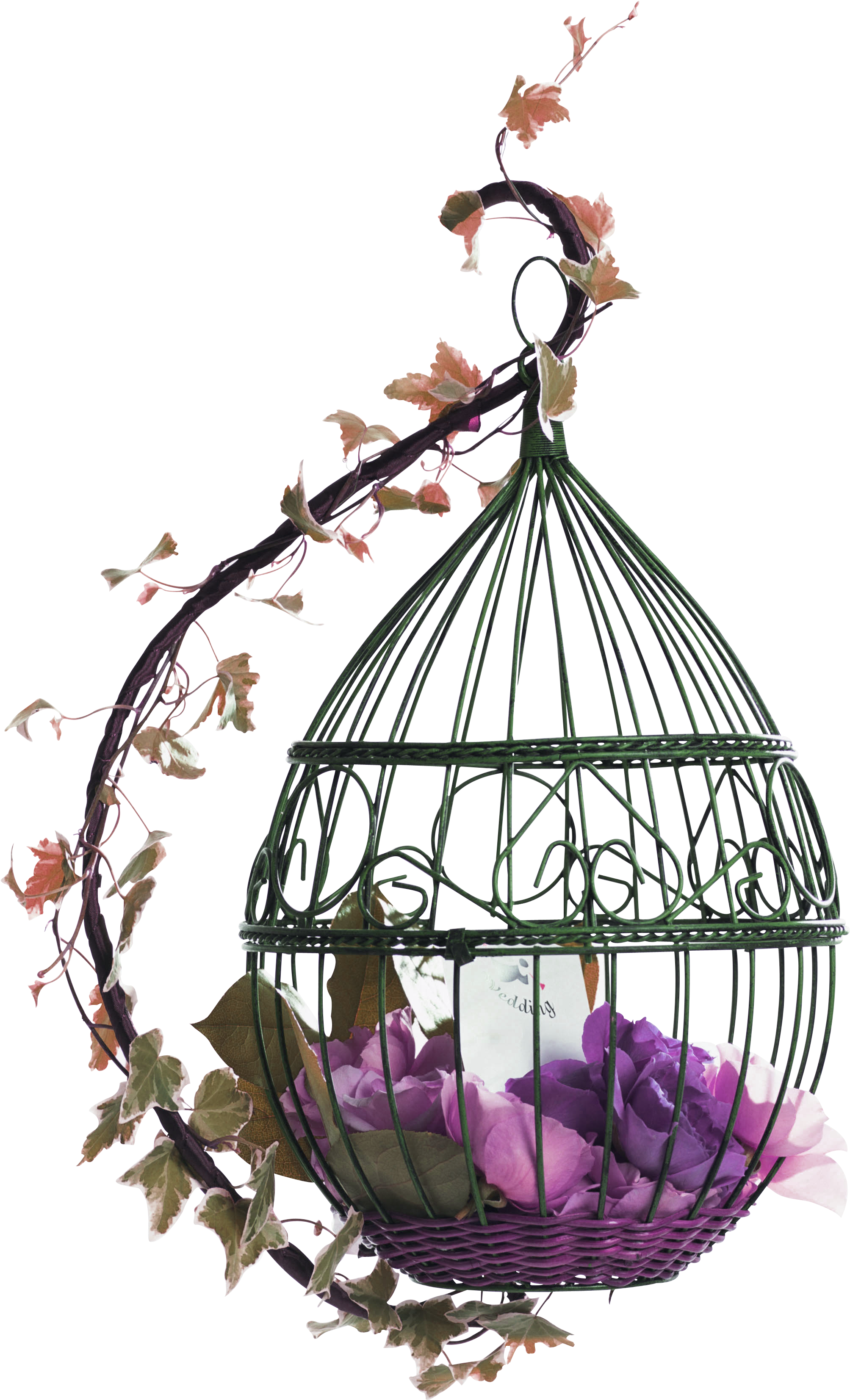 Birdcage Png Image Background - Birdcage Png (3280x4100), Png Download