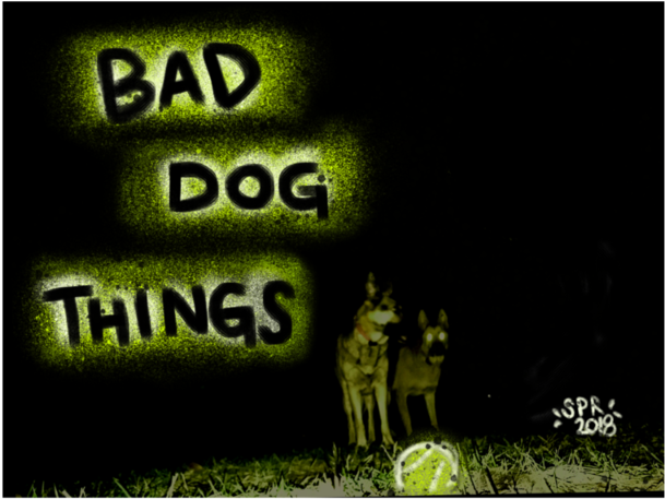 Baner Test - Poster (1000x625), Png Download