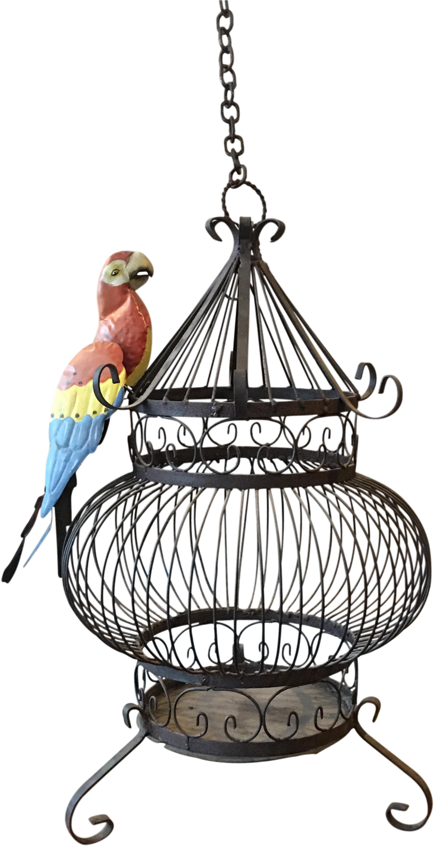 Drawn Birdcage Gothic - Macaw (1583x3084), Png Download