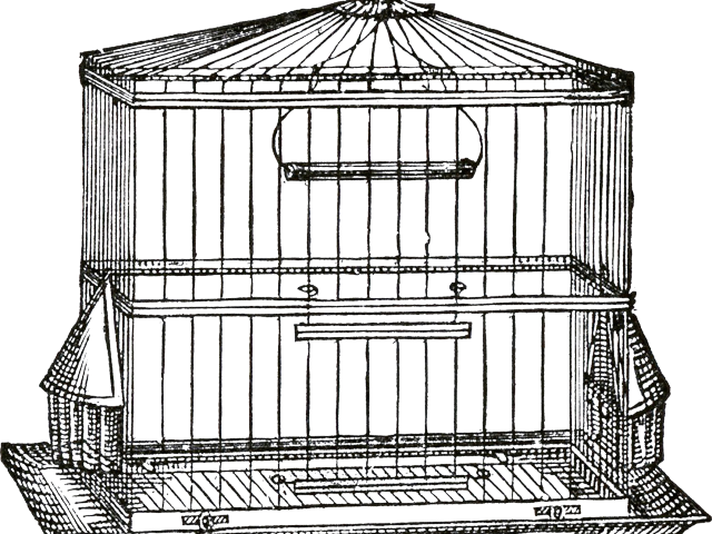 Drawn Birdcage Transparent - Transparent Bird Cage Png (640x480), Png Download