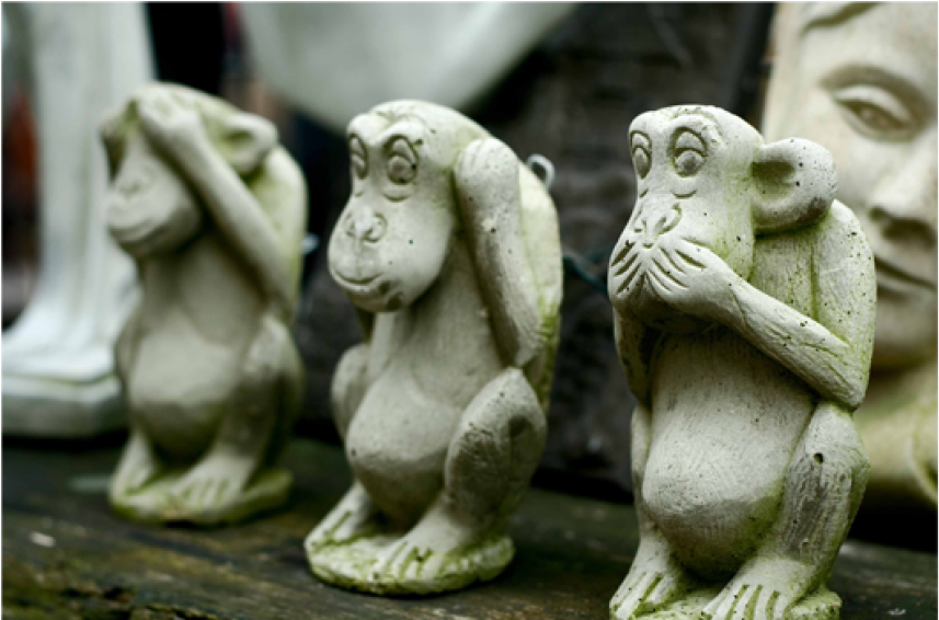 Speak No Evil, Hear No Evil, See No Evil - Three Wise Monkeys (1000x565), Png Download