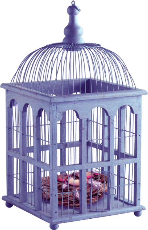 Фото, Автор Olinka - Birdcage (531x800), Png Download