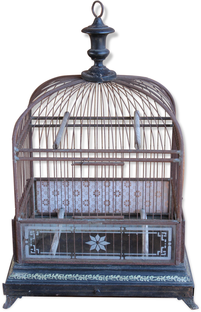 Cage (1457x1457), Png Download