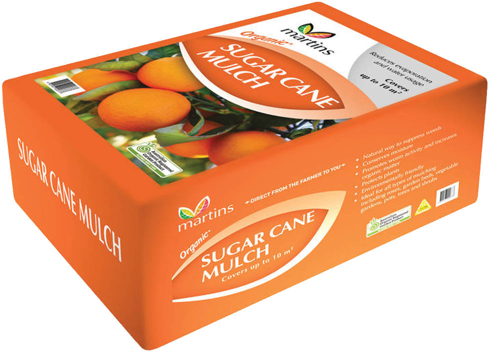 Tangerine (1000x1000), Png Download