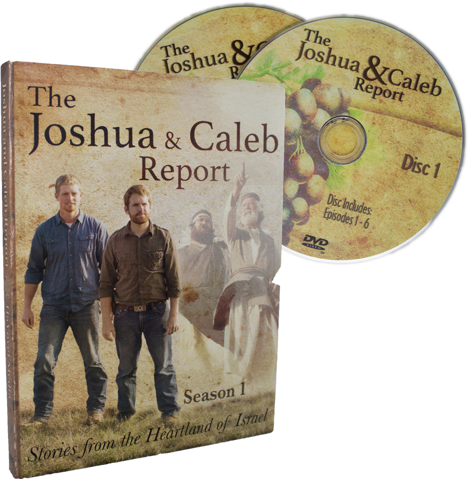 Related Products - Book Cover (1000x1000), Png Download