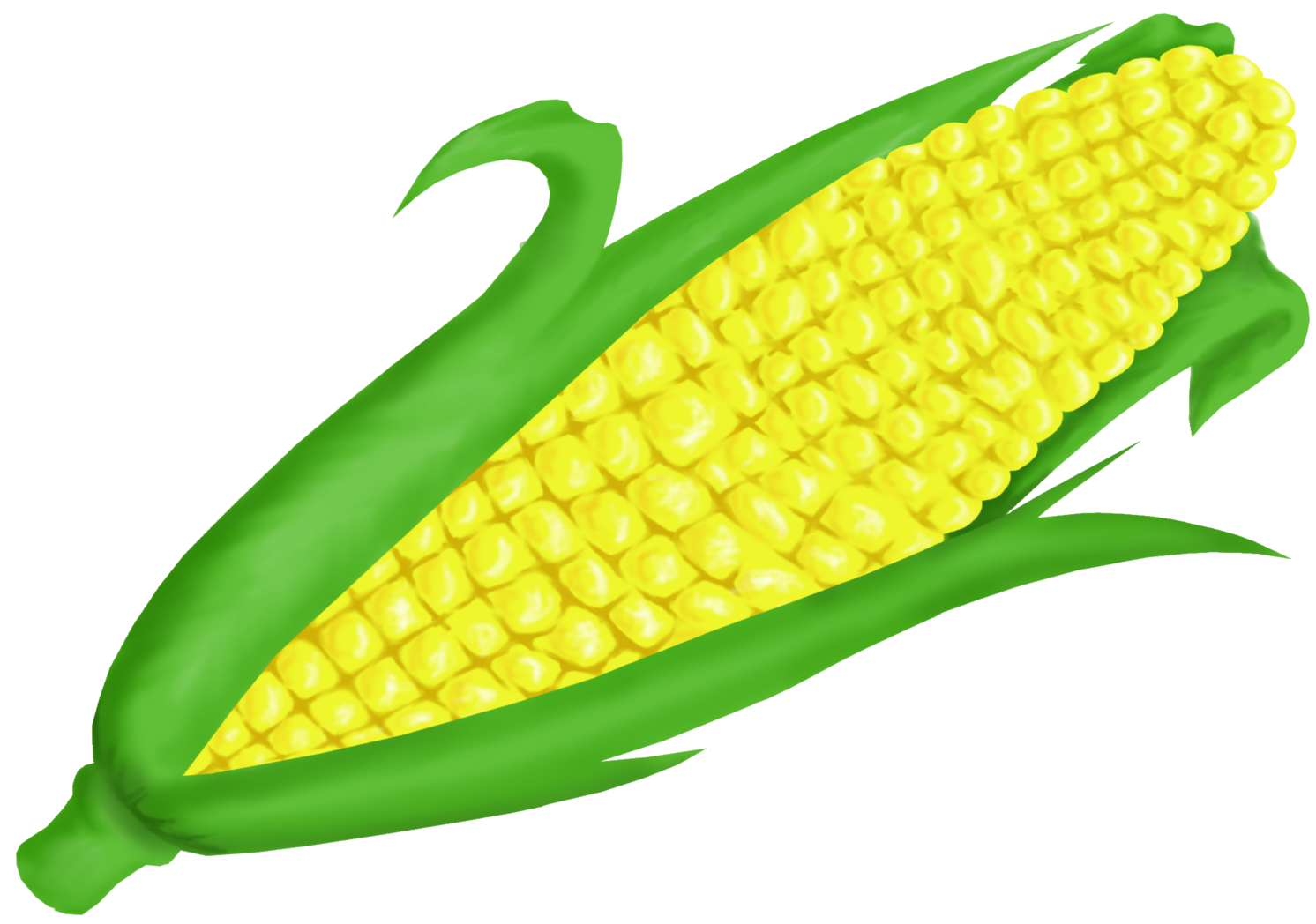 Cornfield Clipart Vegetable Field - Ear Of Corn Clip Art (1492x1048), Png Download