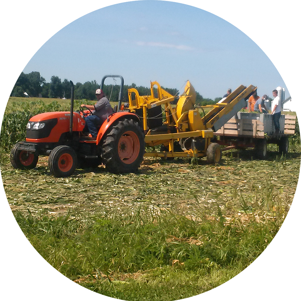 Our Sweet Corn Is Always Juicy And Fresh, And Our Pretzels - Tractor (1000x1000), Png Download