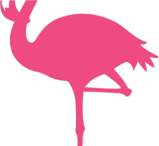 Drawn Santa Hat Clear Background - Flightless Bird (640x480), Png Download