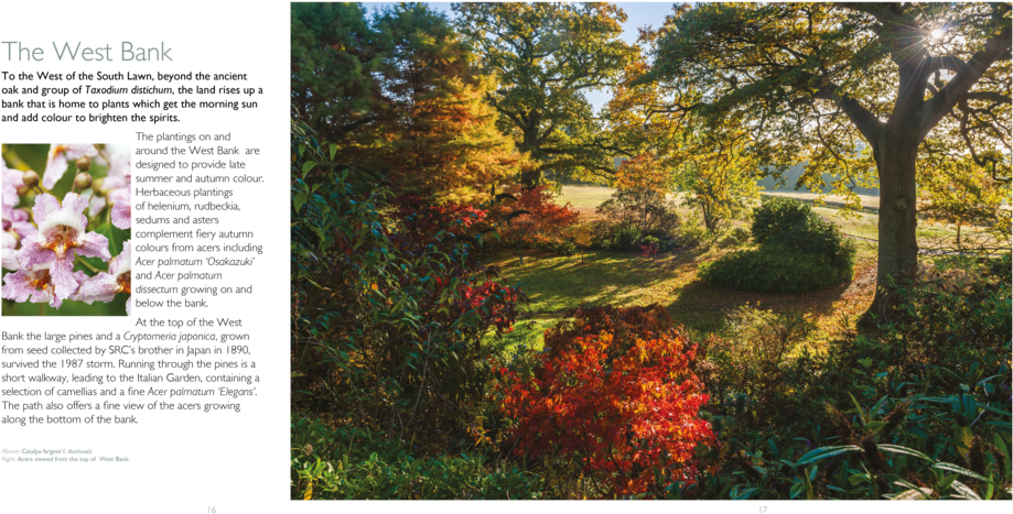 Borde Hill - Botanical Garden (1000x500), Png Download