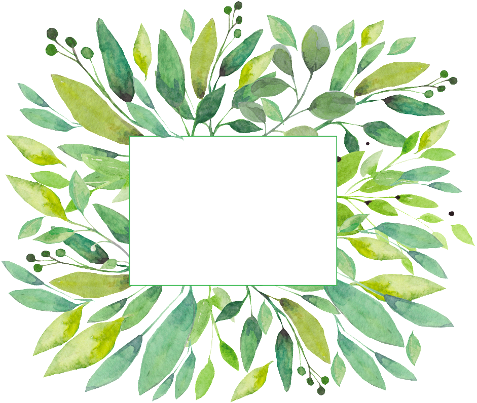 Borde De La Hoja Transparente Denso Png Decorativo (1024x866), Png Download