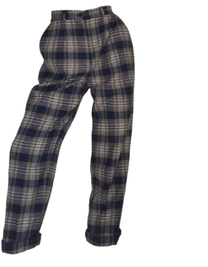 Plaid Pants - Niche Meme Clothes Png (540x787), Png Download