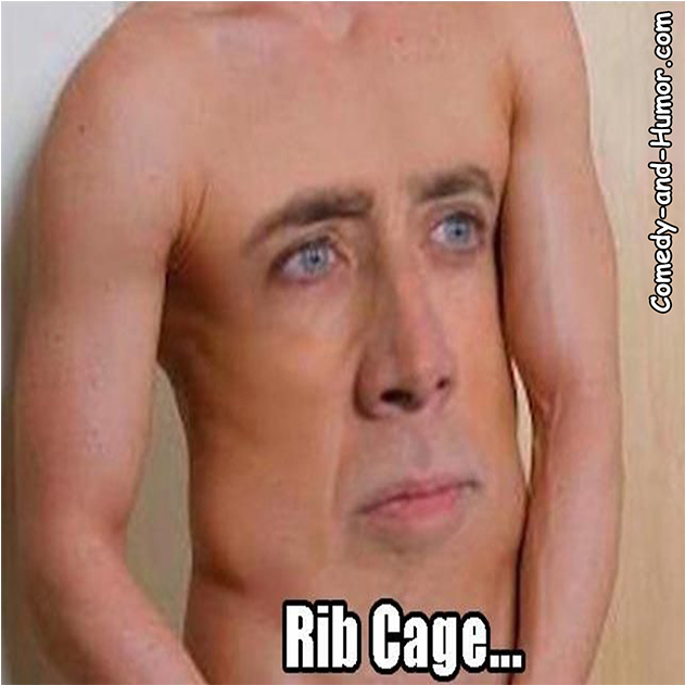 Rib Cage - Photo Caption (1200x630), Png Download