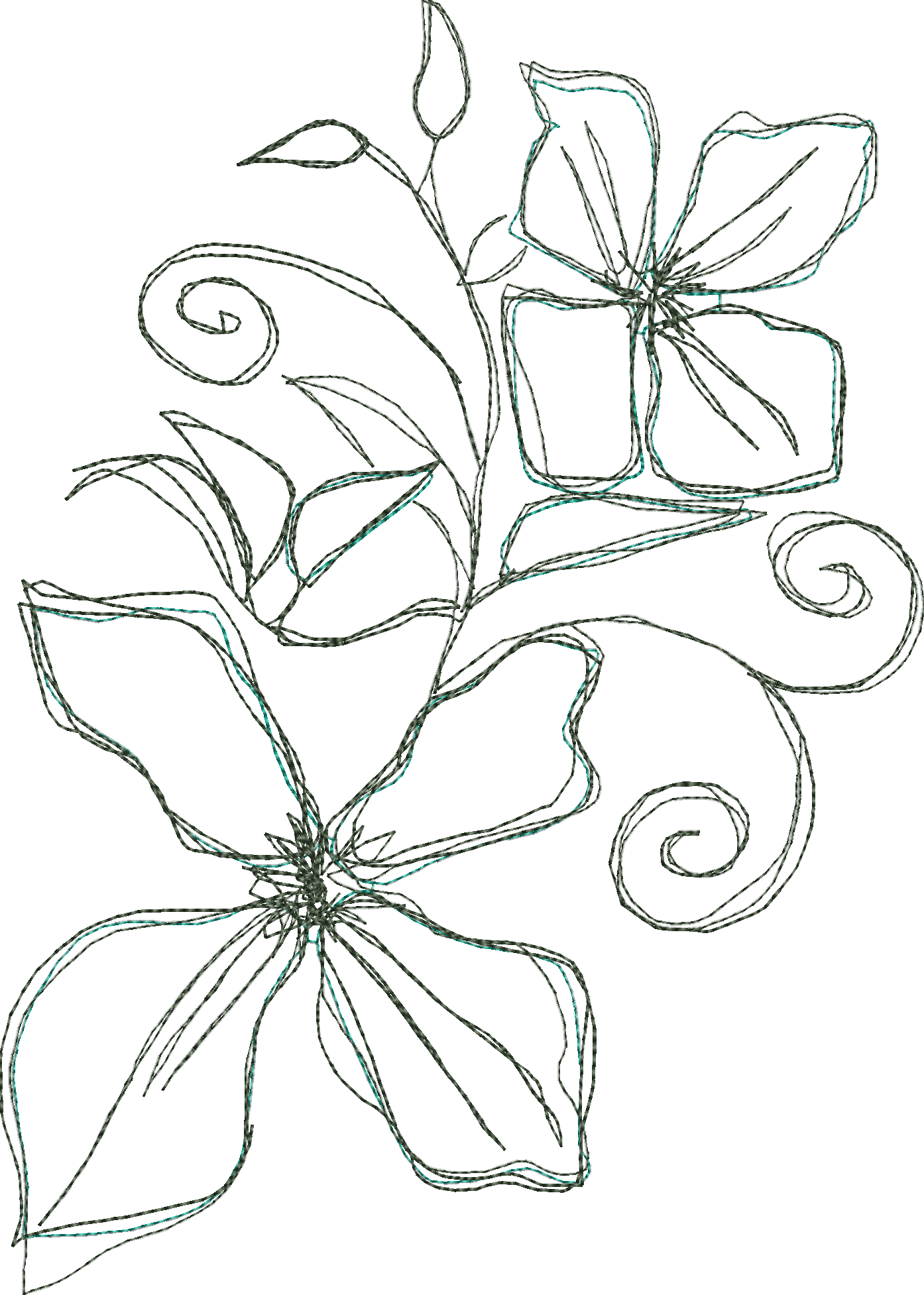 Clematis Doodle - Line Art (1394x1954), Png Download