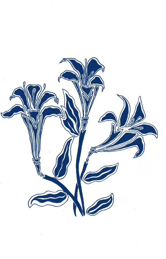 This Was Another Little Doodle I Did Using Ink On Paper - Illustration (576x899), Png Download