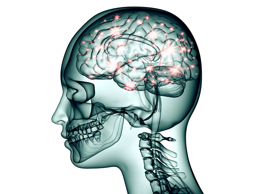 3-d Mini Brains Accelerate Research For Repairing Brain - Neurology (1200x663), Png Download