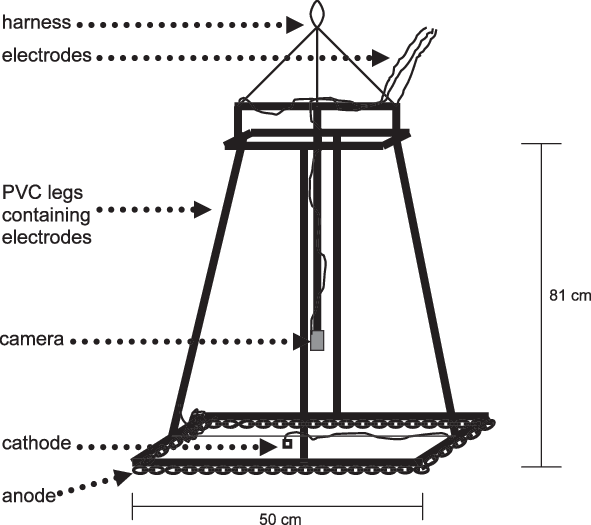 Schematic Of A Drop Electrofisher Used To Sample Lake - Architecture (591x525), Png Download