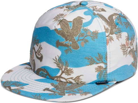 Captain Condor Hat - Baseball Cap (640x960), Png Download