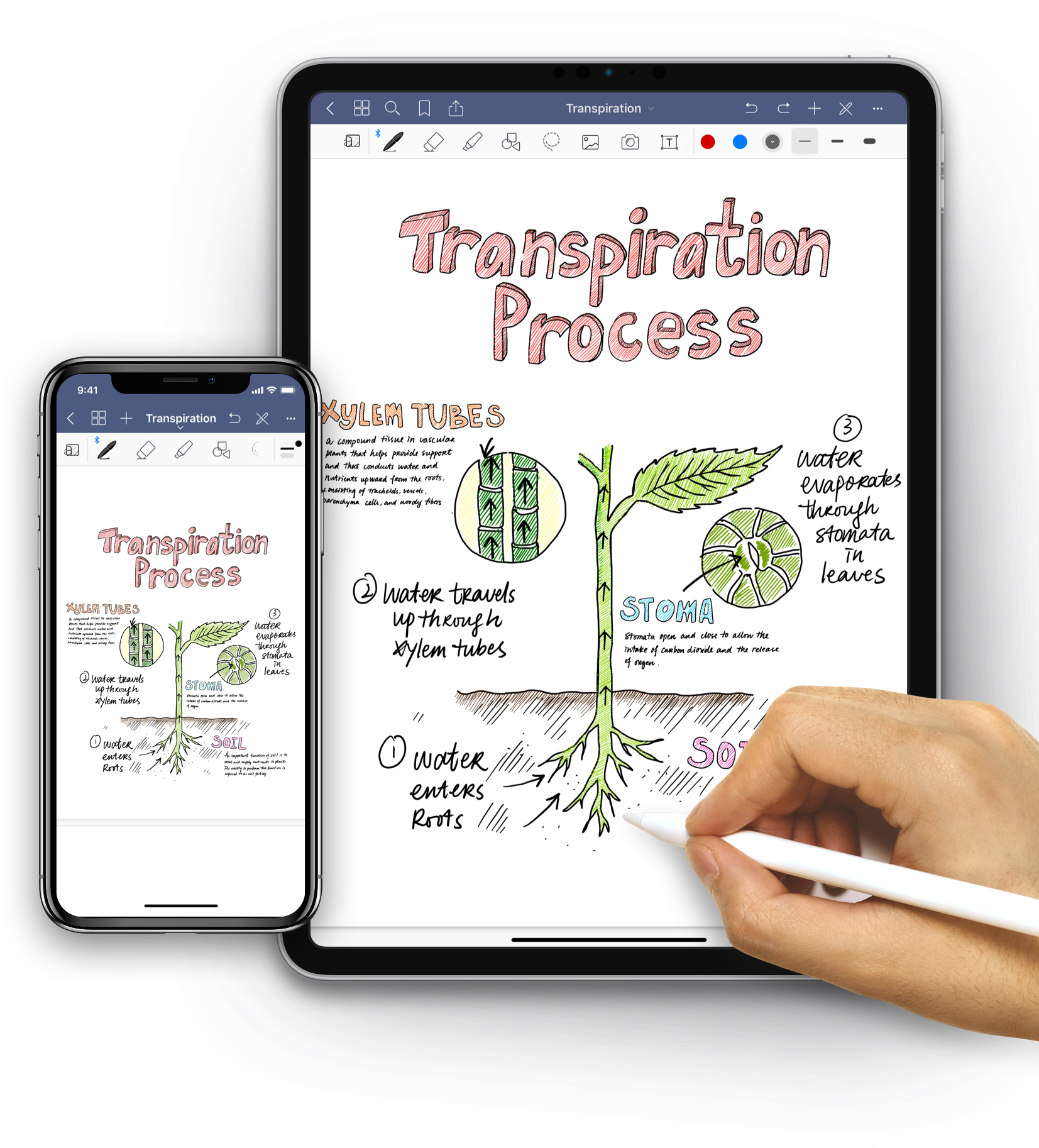 Goodnotes Hero3 2x - Goodnotes 5 Vs Goodnotes 4 (1668x1826), Png Download