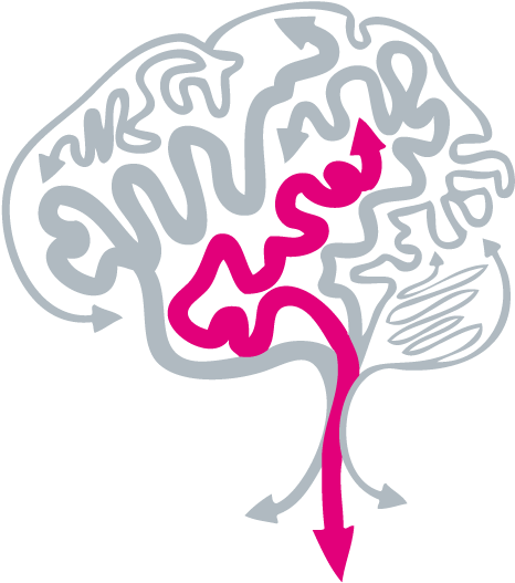 Brain Image - Illustration (591x607), Png Download