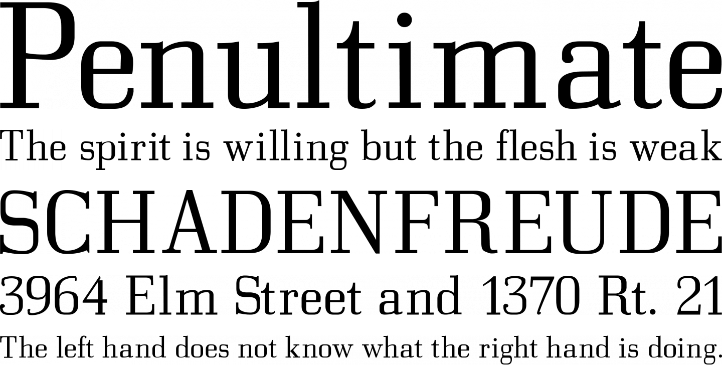 Bodonitown Font Phrases - Roman Font (1440x728), Png Download