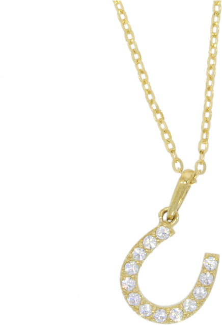 9ct Yellow Gold Cz Horse Shoe Pendant & Chain - Necklace (800x713), Png Download
